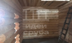 Проект “Рокки” в Тарутино